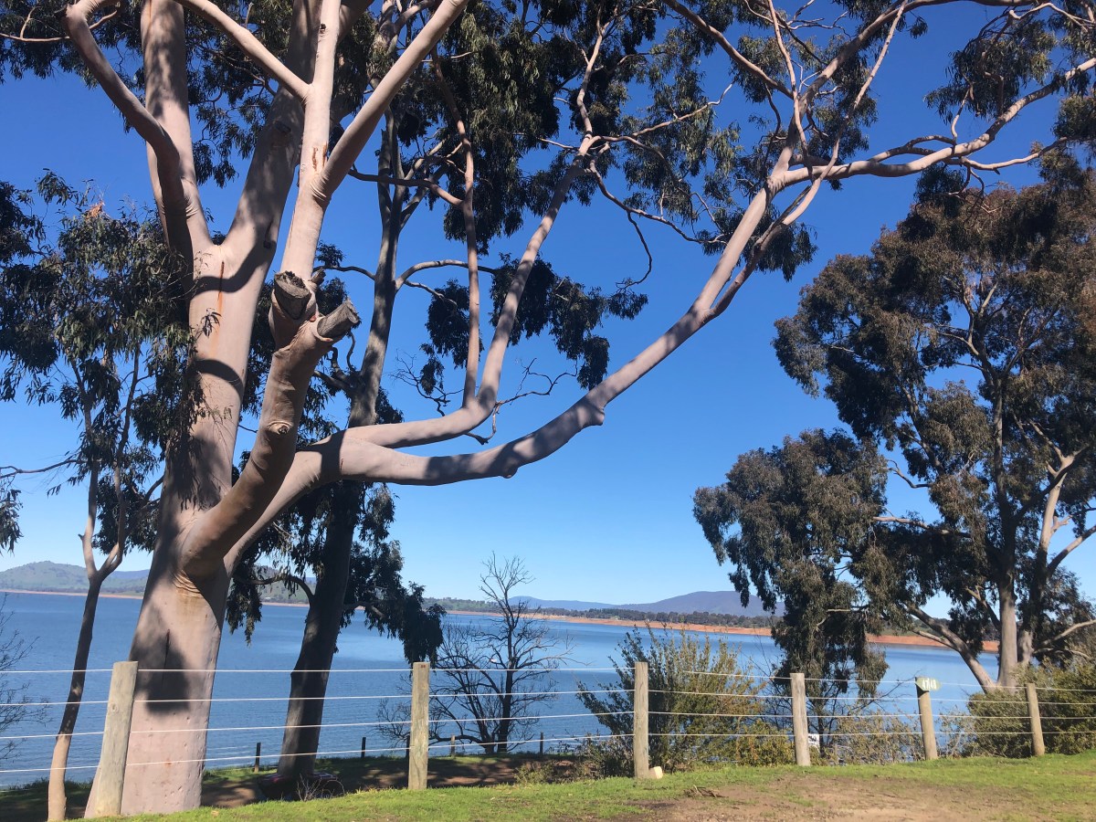 190817 Seymour Free Camp & Lake Hume&nbsp;Village